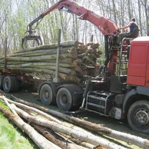 GRUME DE BOIS DE TECK 1 CAMION DE 40M3